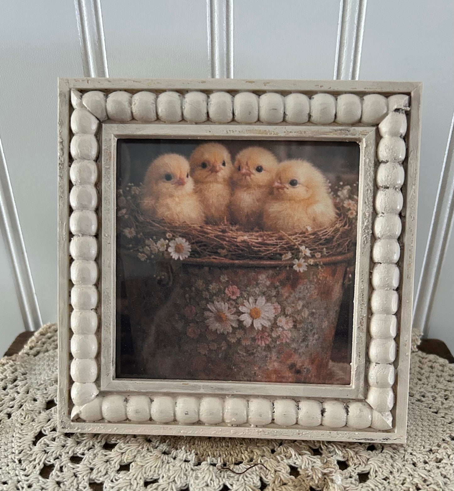 Chicks in a Bucket