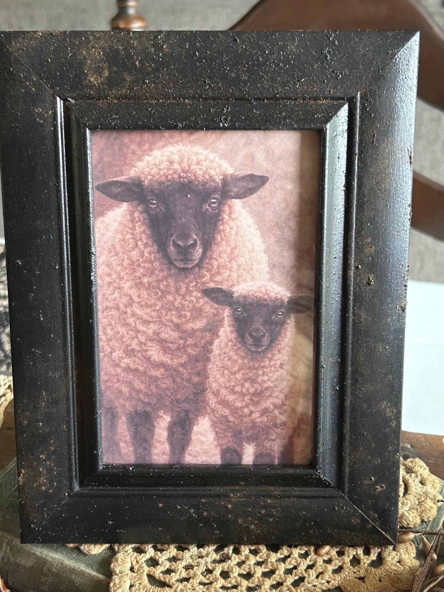 Lamb Picture