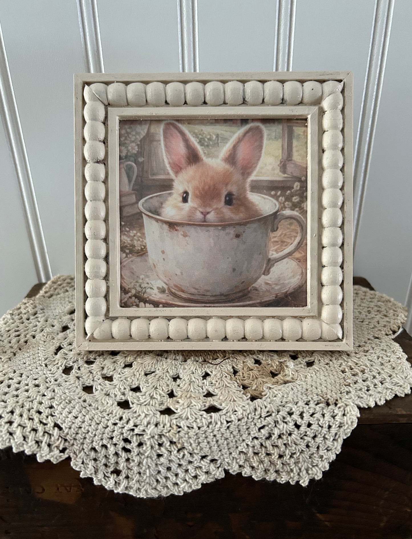Teacup Bunny