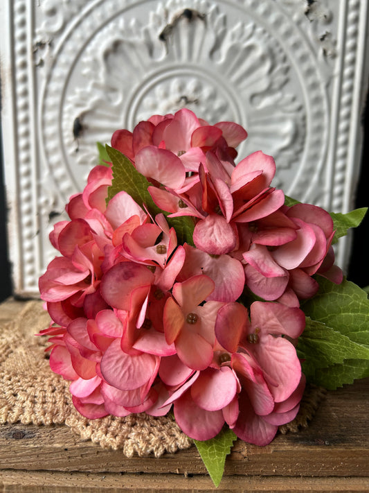 Pink Floral hydrangeas
