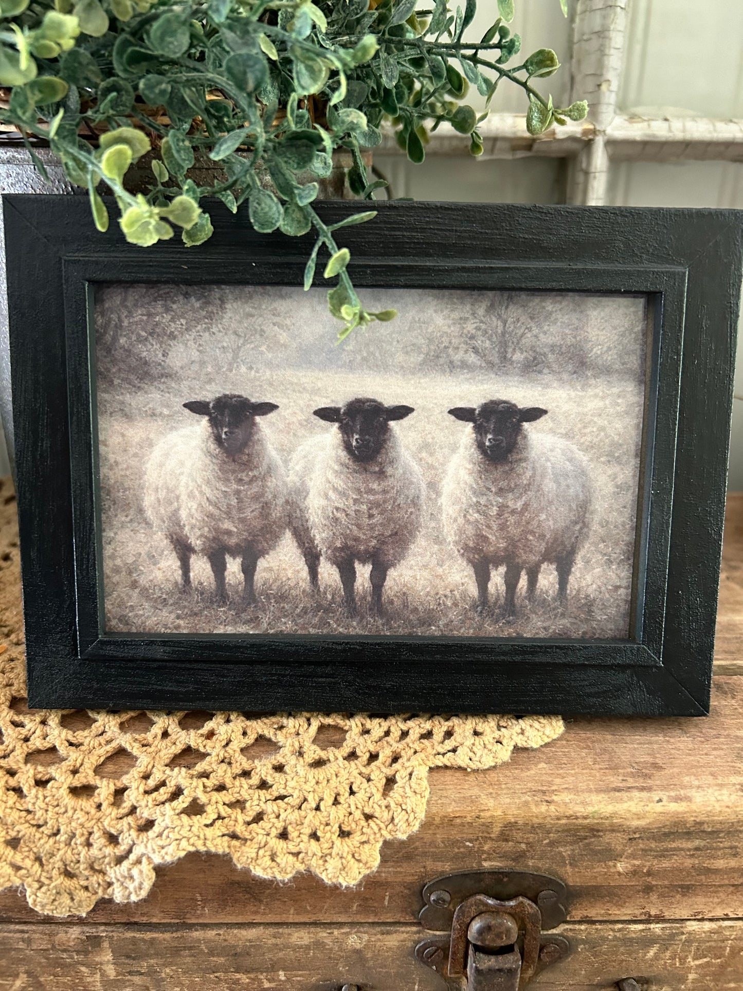 3 sheep picture