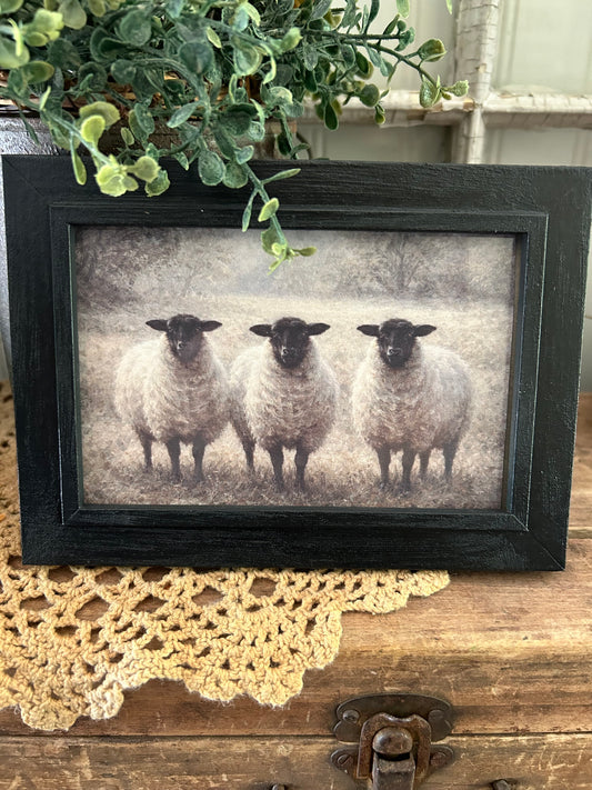 3 sheep picture