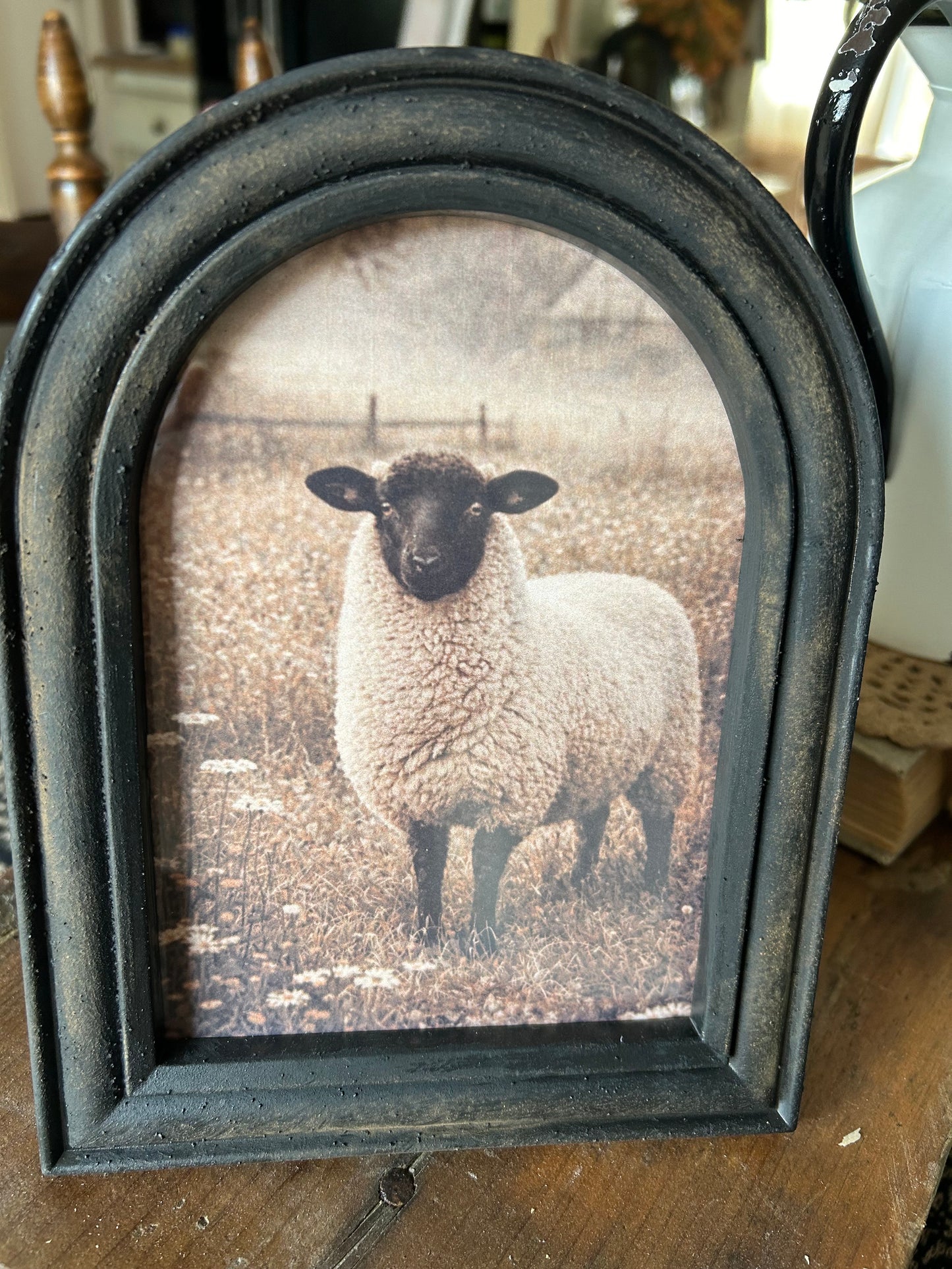 Sheep Picture with grungy black frame