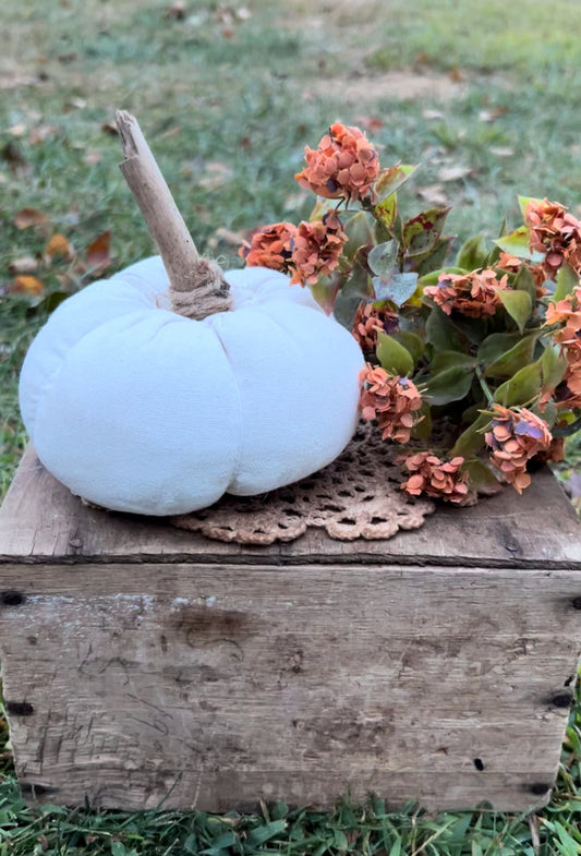 White Pumpkin