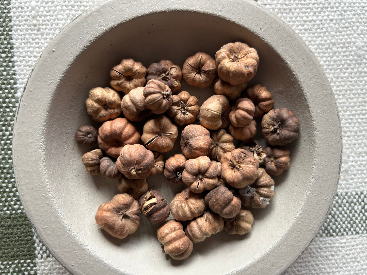 Mini Pumpkins (2 Cups)