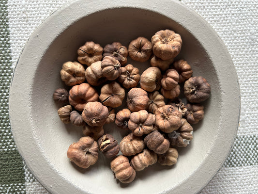Mini Pumpkins (2 Cups)